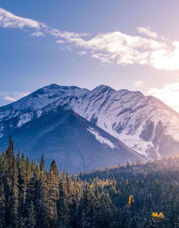 Jóvenes colaborando en un proyecto